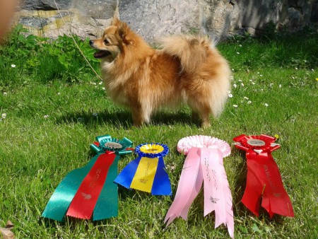 Skrållan Hässleholm 2013